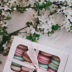 Meet your Posher, Lynne